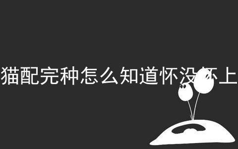 猫配完种怎么知道怀没怀上