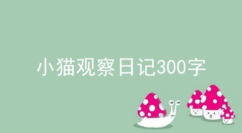 小猫观察日记300字