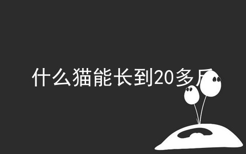 什么猫能长到20多斤