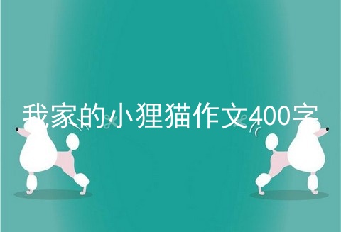 我家的小狸猫作文400字