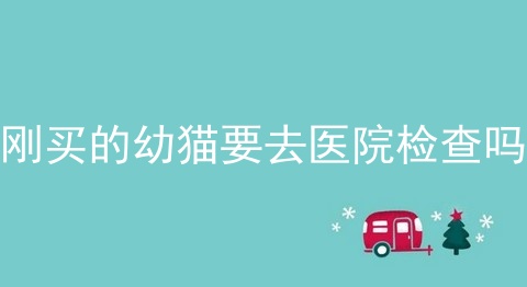 刚买的幼猫要去医院检查吗