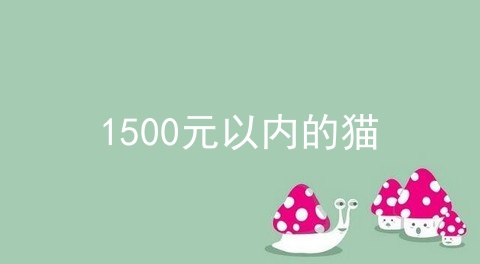 1500元以内的猫