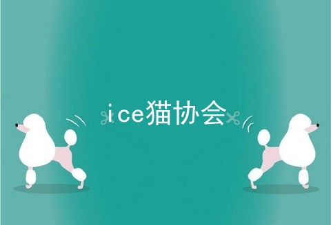 ice猫协会