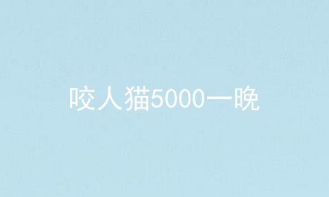 咬人猫5000一晚