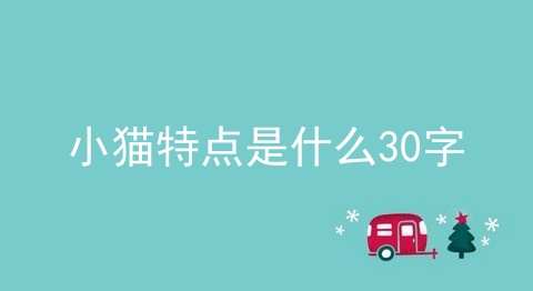 小猫特点是什么30字