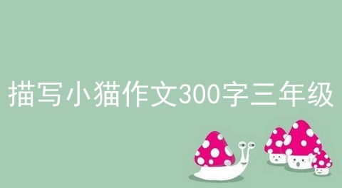 描写小猫作文300字三年级