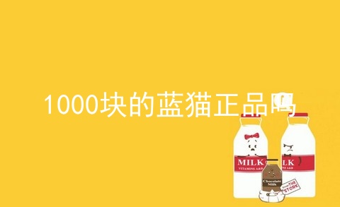 1000块的蓝猫正品吗