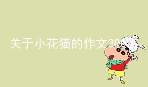 关于小花猫的作文300字