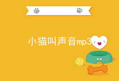 小猫叫声音mp3