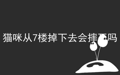 猫咪从7楼掉下去会摔死吗