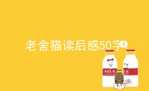 老舍猫读后感50字