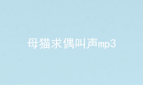 母猫求偶叫声mp3