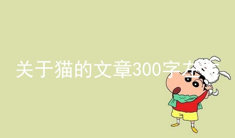 关于猫的文章300字左右