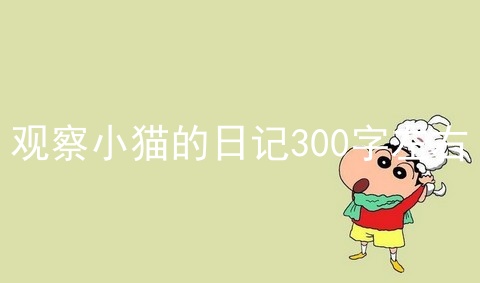 观察小猫的日记300字左右