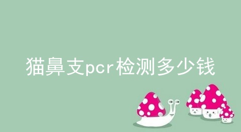 猫鼻支pcr检测多少钱