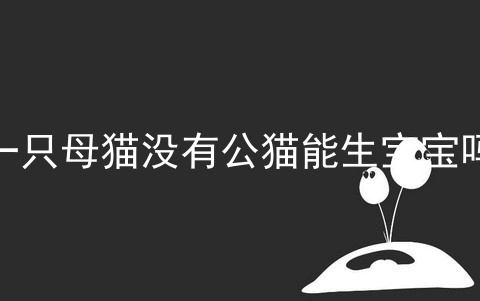 一只母猫没有公猫能生宝宝吗