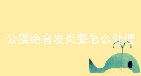 公猫绝育发炎要怎么处理