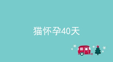 猫怀孕40天