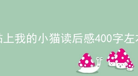 黏上我的小猫读后感400字左右