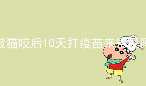 被猫咬后10天打疫苗来得及吗