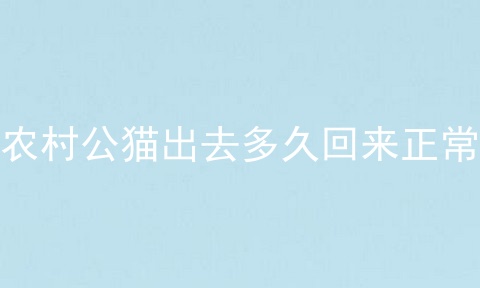 农村公猫出去多久回来正常