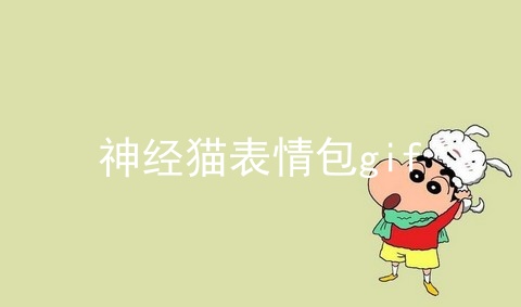 神经猫表情包gif