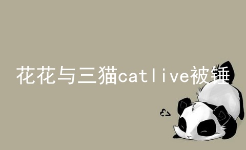 花花与三猫catlive被锤