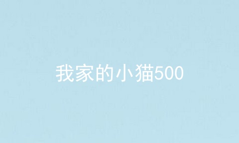 我家的小猫500