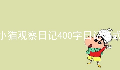 小猫观察日记400字日记格式