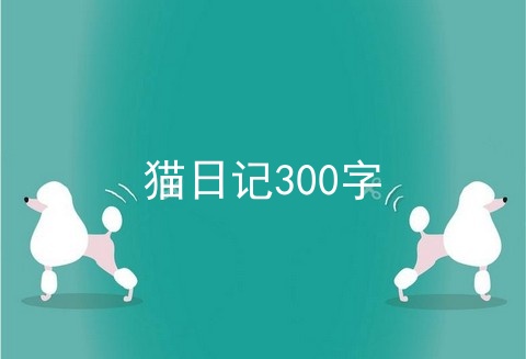 猫日记300字