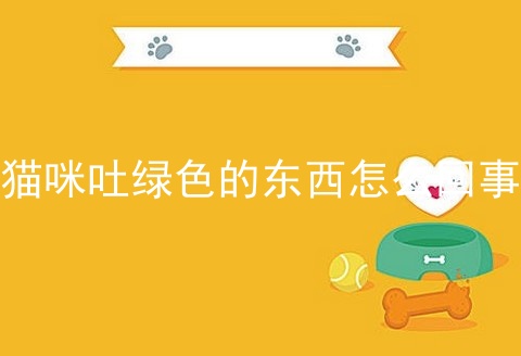 猫咪吐绿色的东西怎么回事