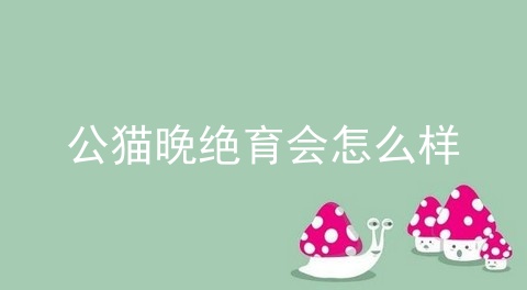 公猫晚绝育会怎么样