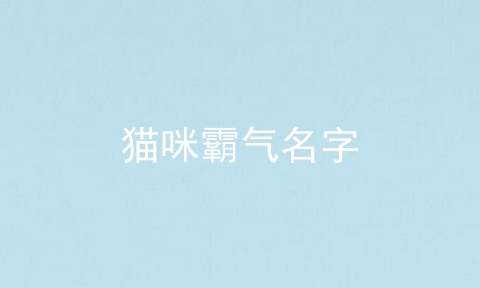 猫咪霸气名字