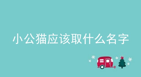 小公猫应该取什么名字