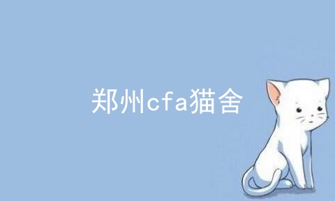 郑州cfa猫舍