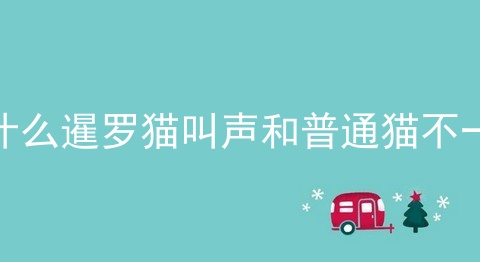 为什么暹罗猫叫声和普通猫不一样