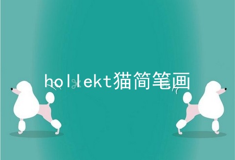 hollekt猫简笔画