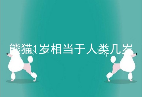 熊猫1岁相当于人类几岁