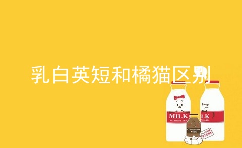 乳白英短和橘猫区别