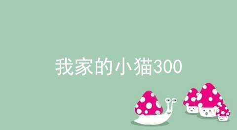 我家的小猫300