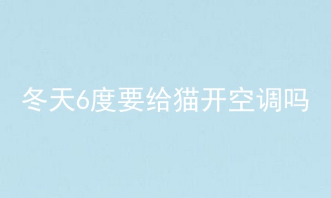 冬天6度要给猫开空调吗