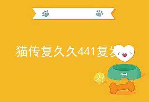 猫传复久久441复发率