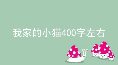 我家的小猫400字左右