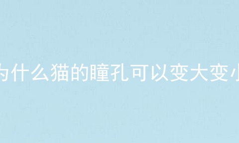 为什么猫的瞳孔可以变大变小