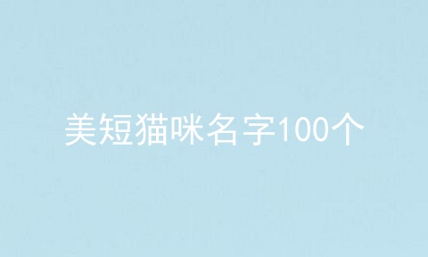 美短猫咪名字100个