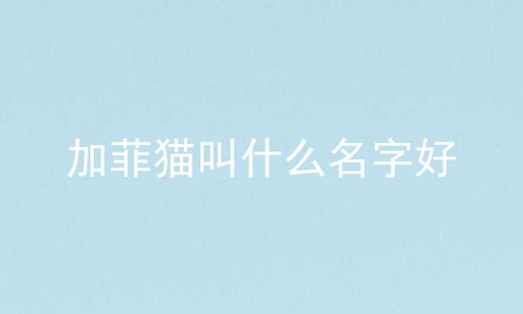 加菲猫叫什么名字好