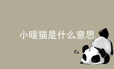 小暖猫是什么意思