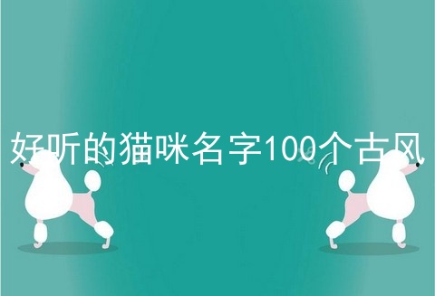 好听的猫咪名字100个古风