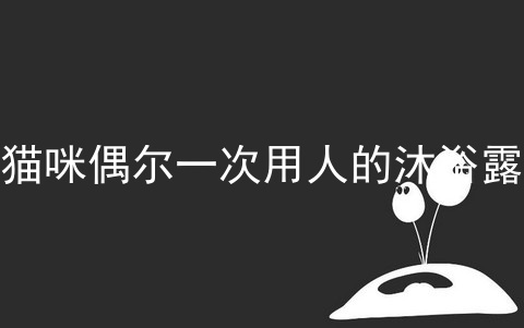 猫咪偶尔一次用人的沐浴露