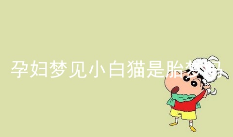 孕妇梦见小白猫是胎梦吗